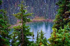 Louise Lake