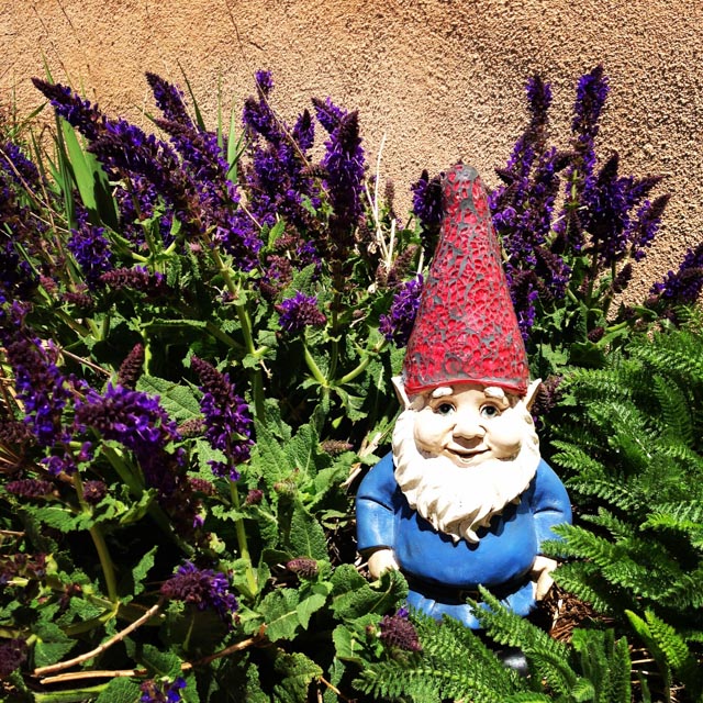 garden-gnome.jpg