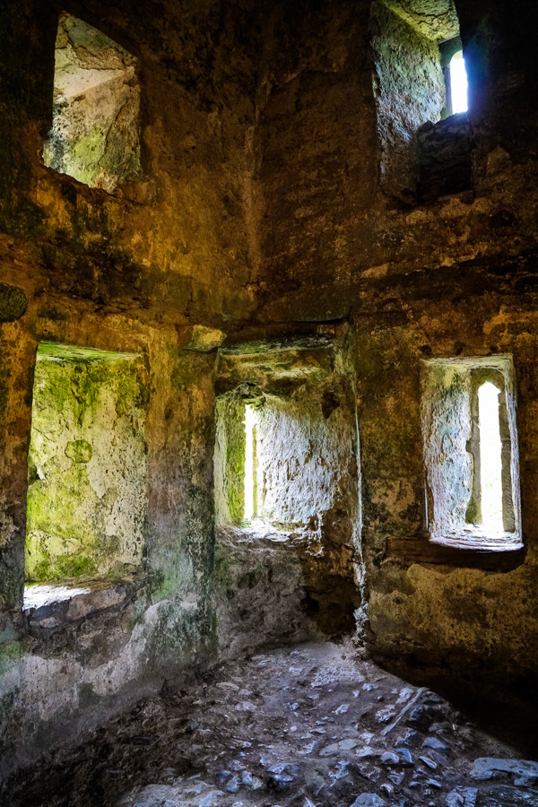 Blarney Castle windows