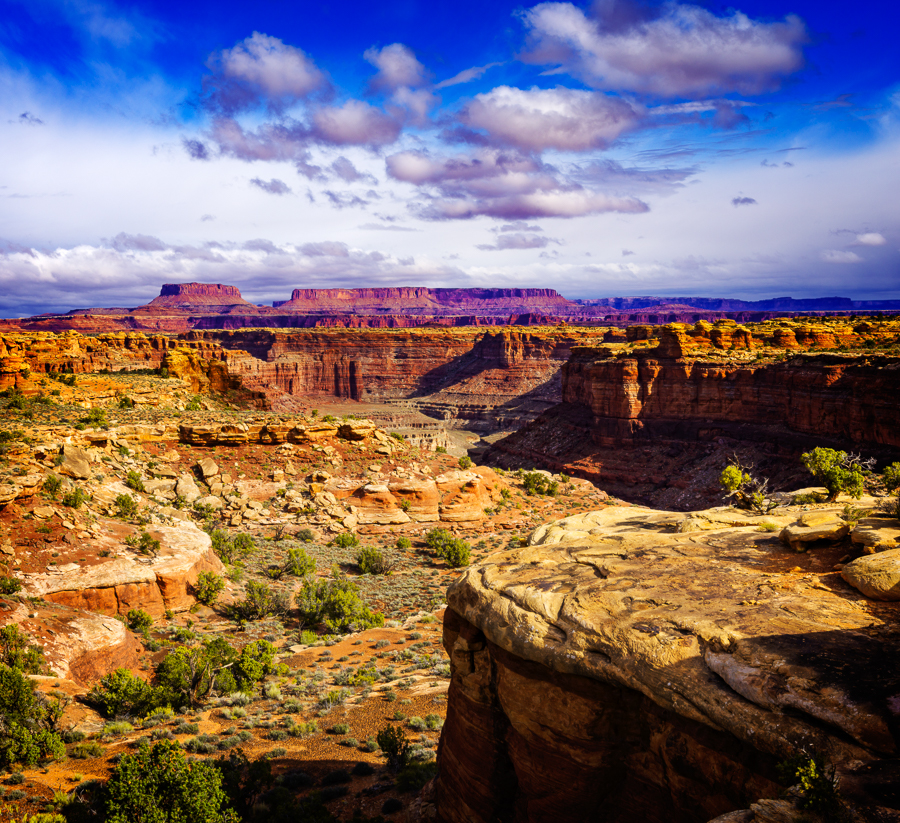 Canyonlands-landscape.jpg