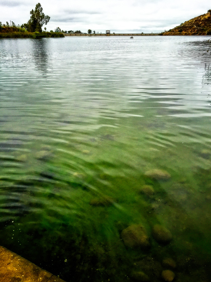 Lake Murray Ripples
