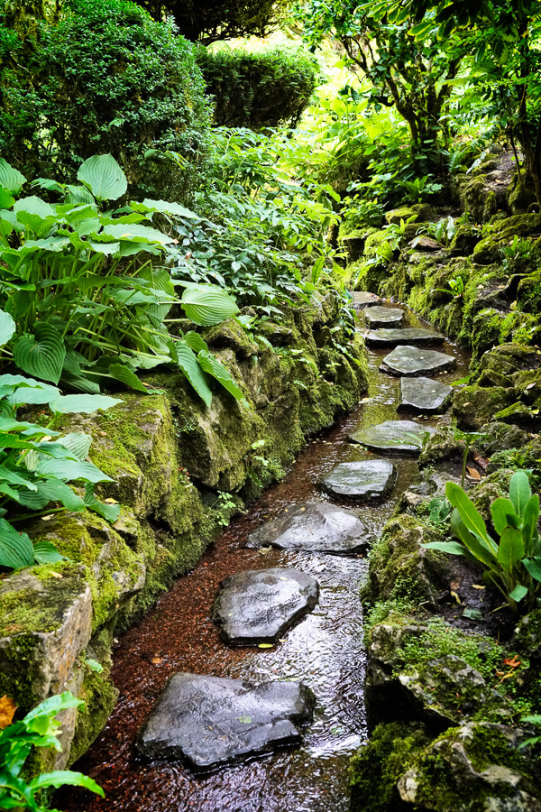 Creek path, Irish National Stud Garden