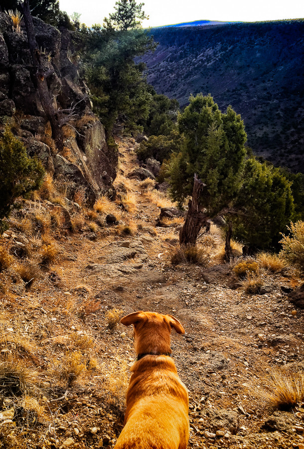 Sam at Cebolla Mesa trailhead in Taos